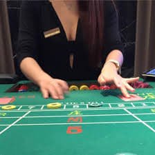 Philippine player browsing slotph case studies on a mobile device